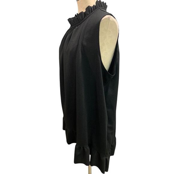 22/24 Lane Bryant Womens Sleeveless Tunic Shirt Blouse Ruffle - Picture 5 of 9